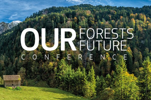 our forests our future