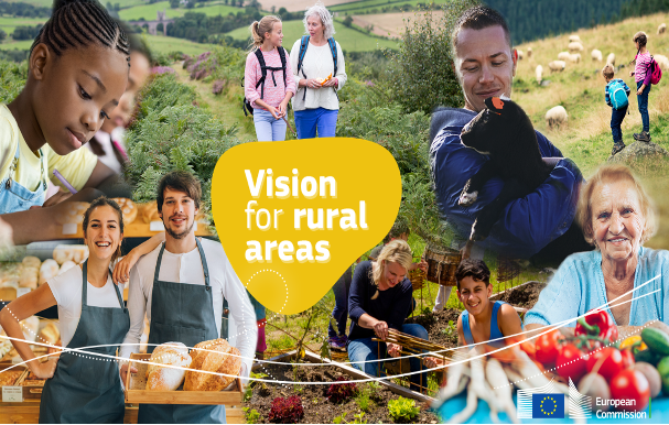 vision rural areas