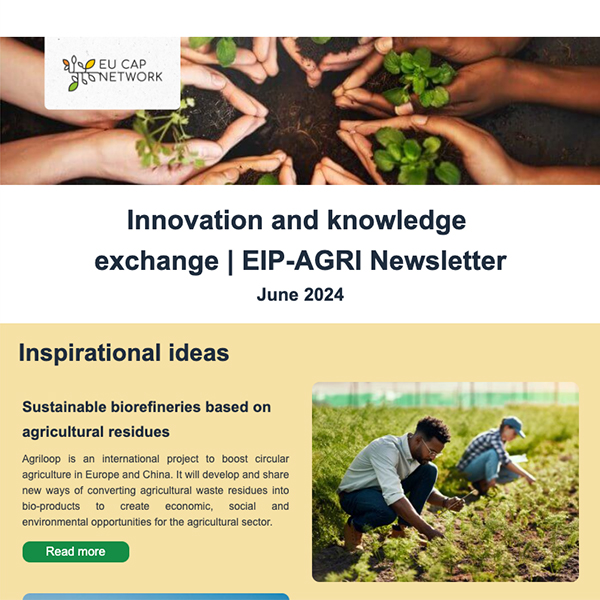 newsletter ep agri june 2024