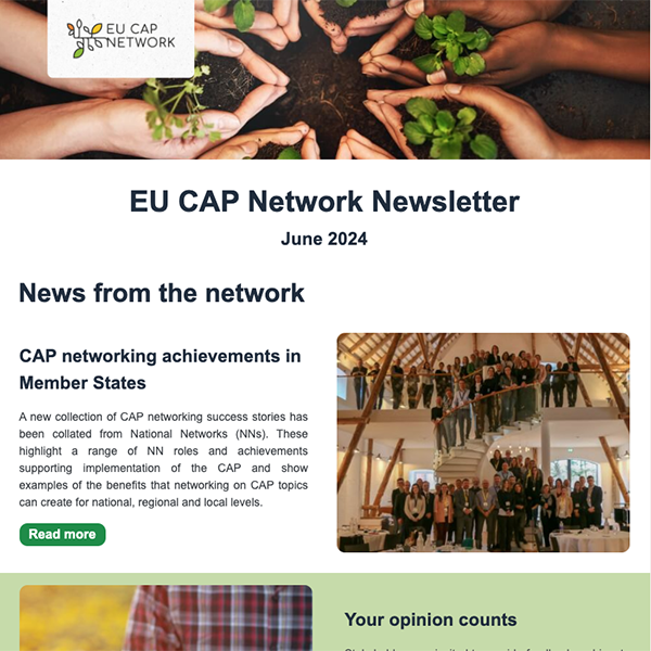 Eu cap network 6 2024