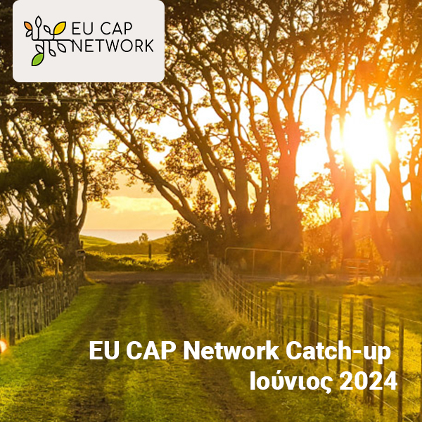 newsletter eu cap catch up