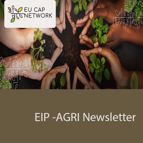 eip agri newsletter2024