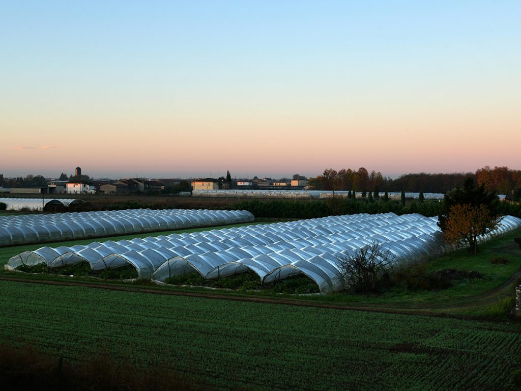 greenhouses θερμοκηπια