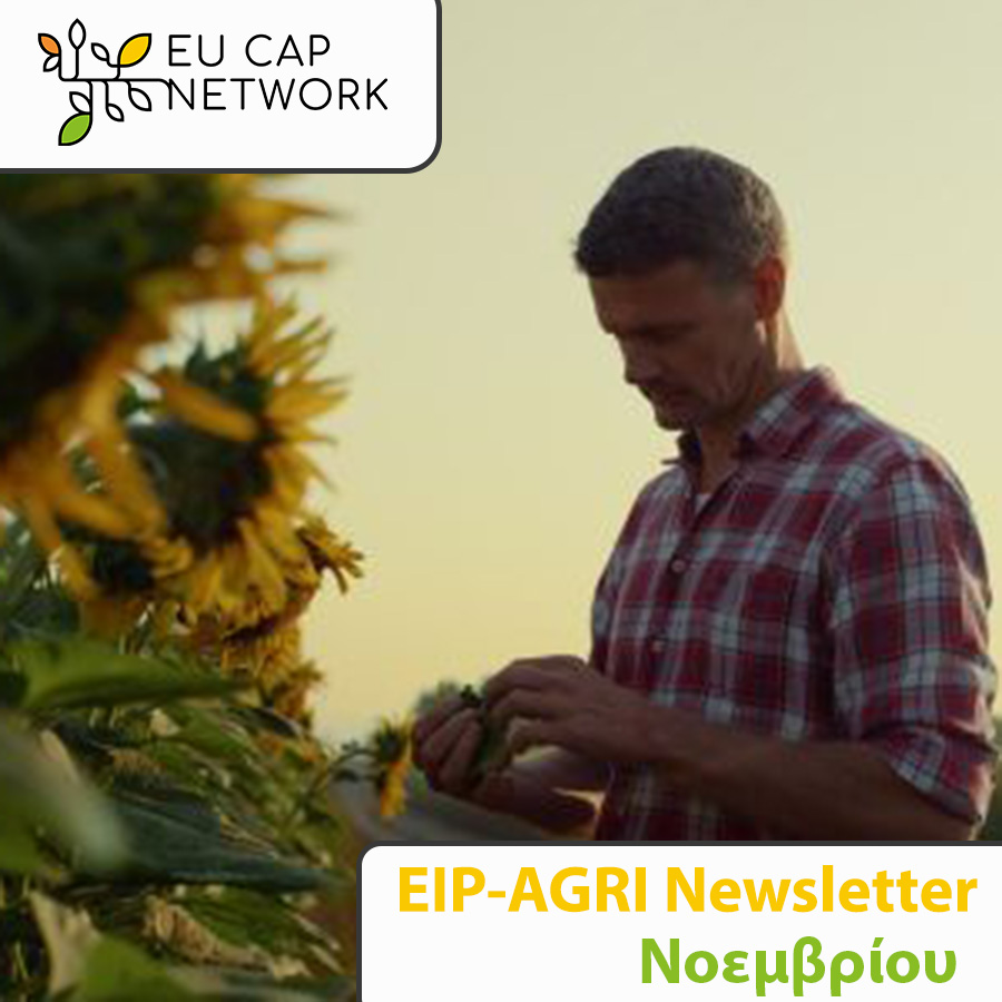 eip agri newsletter 11