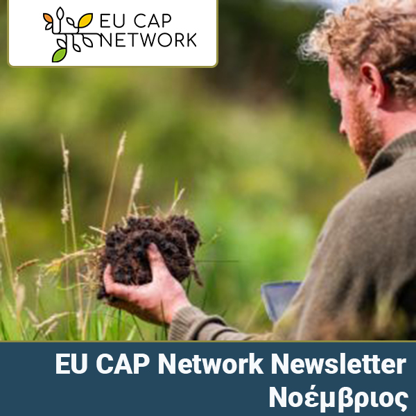 newsletter eucap